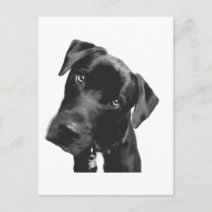 Was ist? postkarte