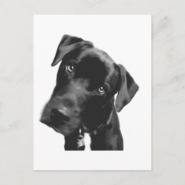 Was ist? postkarte (Vorderseite)