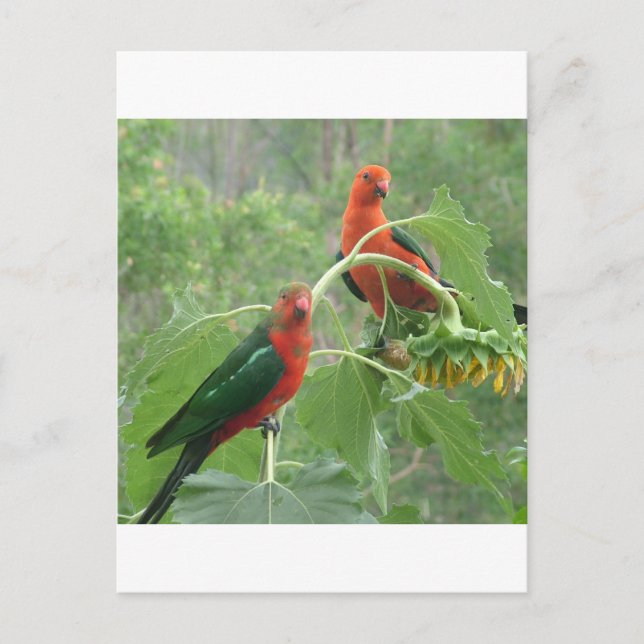 Was ist? postkarte (Vorderseite)