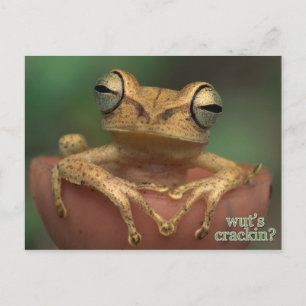 Was ist Risse? Postkarte