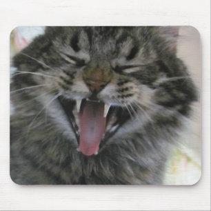 Was ist so lustig? Ich bin eine Katze, die du nich Mousepad