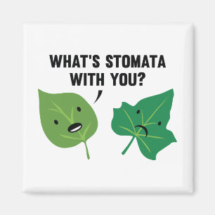 Was ist Stomata mit dir? Magnet