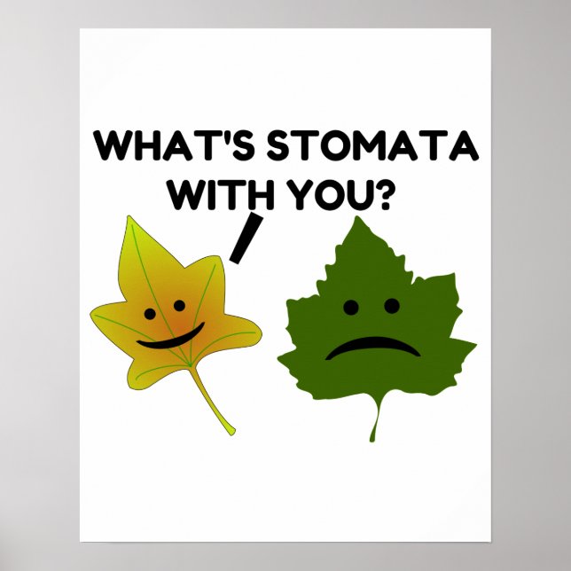 Was ist Stomata mit dir? Poster (Vorne)