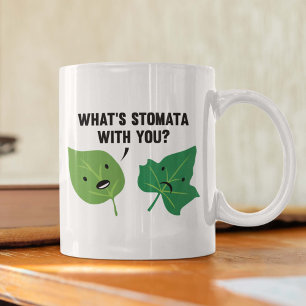 Was ist Stomata mit dir? Tasse