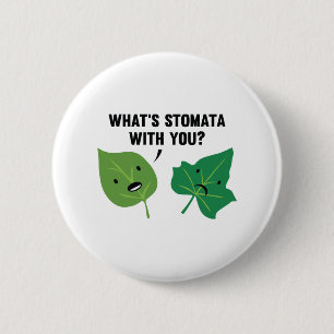 Was ist Stomata mit Ihnen? Button