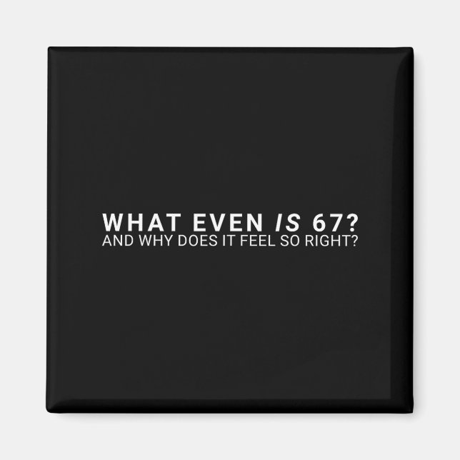 Was ist überhaupt 67 Meme  Magnet (Vorne)