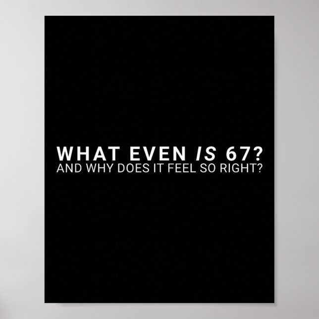 Was ist überhaupt der 67-Meme  Poster (Vorne)