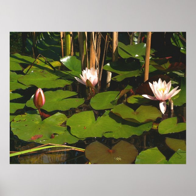 Was ist unter? poster (Vorne)