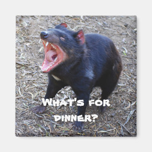 "Was ist zum Abendessen?" Tasmanian Devil Magnet