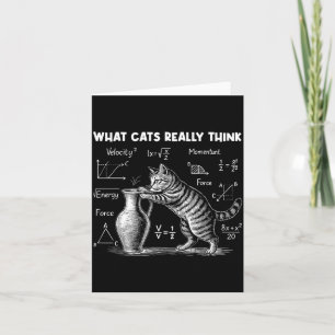 Was Katzen wirklich lustig finden Katzenphysik Wis Karte