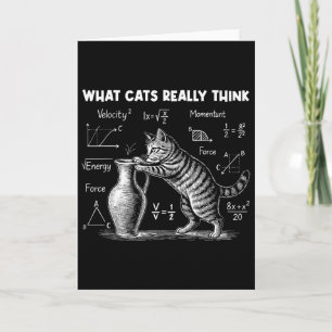 Was Katzen wirklich lustig finden Katzenphysik Wis Karte