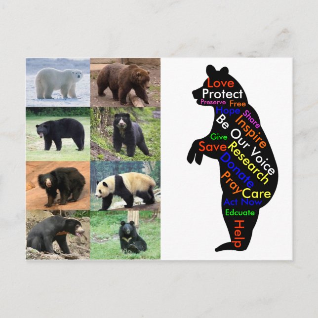 Was können Sie tun, um zu helfen? Postkarte (Vorderseite)