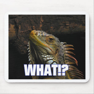 Was!? Leguan Mousepad