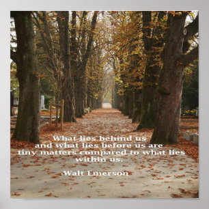 "Was liegt innerhalb wir " Poster