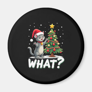 Was Lustige Katze Schiebt Weihnachtsbaum Über Katz Magnet