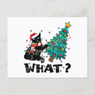 WAS Lustige schwarze Katze Santa schiebt Weihnacht Feiertagspostkarte