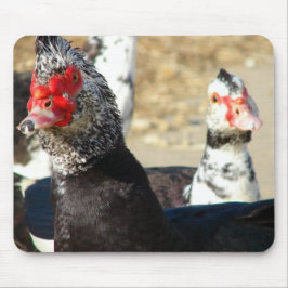 "Was macht ihr?" Mousepad