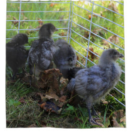 Was oben ist - Huhn-Hintern Duschvorhang