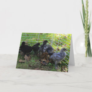 Was oben ist - Huhn-Hintern Karte