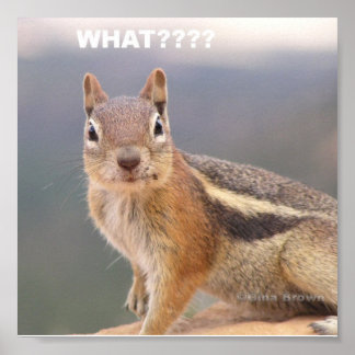 Was?? Poster