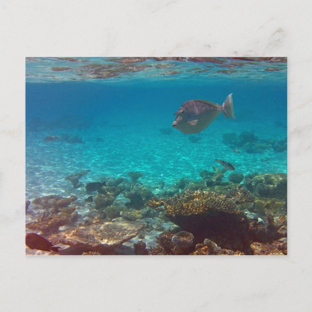 Was? Postkarte (Vorderseite)