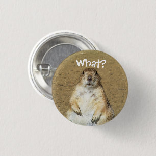 "Was?" Prairie Dog Button