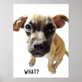 Was sagt Chihuahua Mops Niedlich Adorable Wertvoll Poster