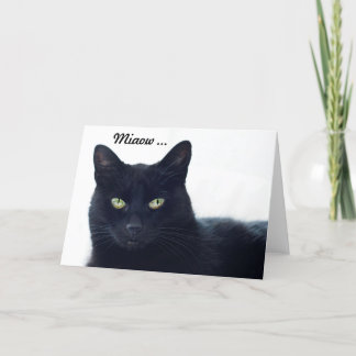Was sagt diese Katze uns auf einem Geburtstag? Karte