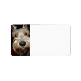 Was schaust du dir an? adressaufkleber