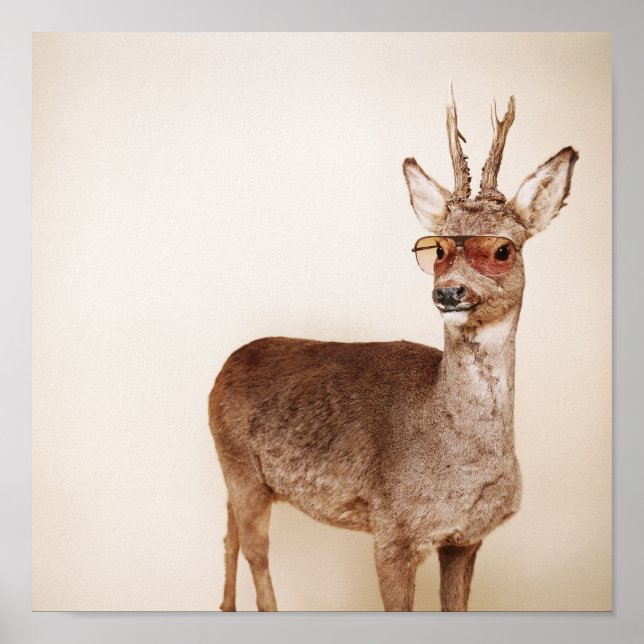 Was schaust du dir an? poster (Vorne)