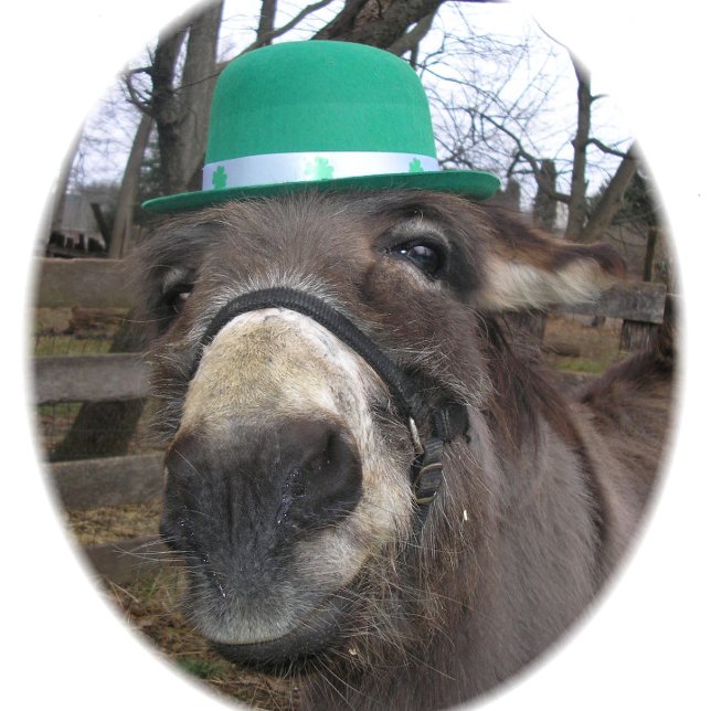 "Was schaust du dir an?" Spielkarten (Von Creator hochgeladen)