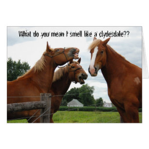 Was Sie gemeiner i-Geruch wie eine clydesdale
