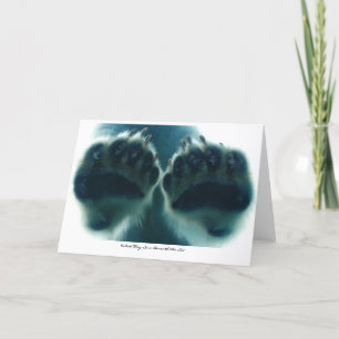 Was sie unter dem Eis sahen Karte