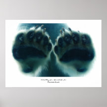 Was sie unter dem Eis sahen