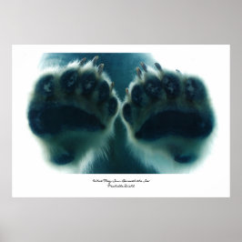 Was sie unter dem Eis sahen Poster