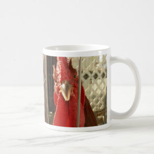 Was siehst du dir an? kaffeetasse