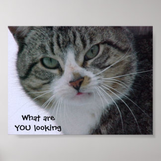 Was siehst du dir an?!!! poster