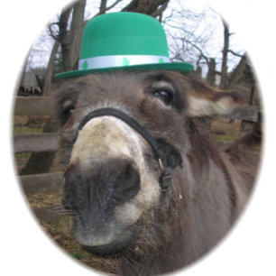 "Was siehst du dir an?" T-Shirt