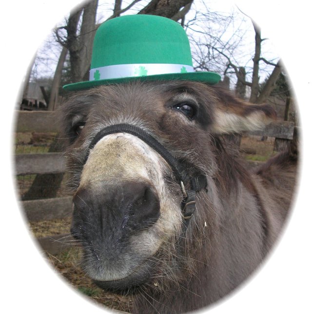 "Was siehst du dir an?" T-Shirt (Von Creator hochgeladen)