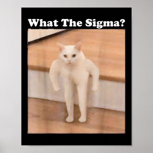 Was Sigma Meme Cat Meme Internet Memes Funny Meme Poster (Vorne)