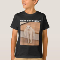 Was Sigma Meme Cat Meme Internet Memes Funny Meme