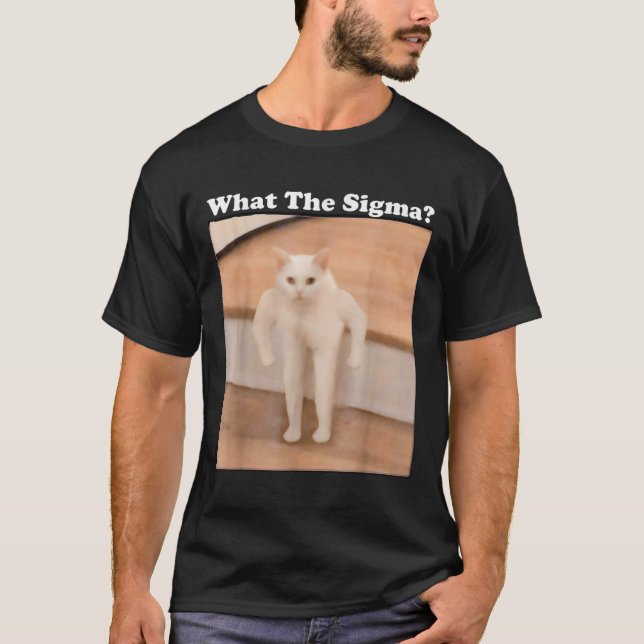 Was Sigma Meme Cat Meme Internet Memes Funny Meme T-Shirt (Vorderseite)