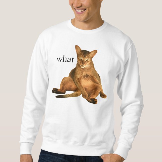 was sweatshirt (Vorderseite)