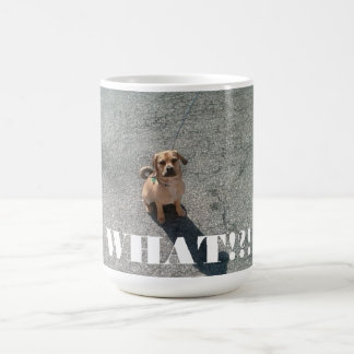 "Was!?!" Tasse