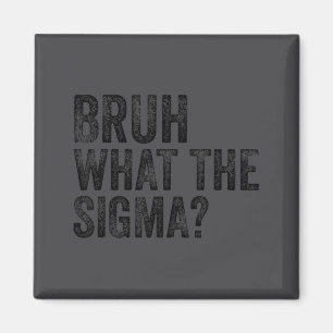 Was The Sigma Bruh Lustige Aussage Erwachsener Sar Magnet
