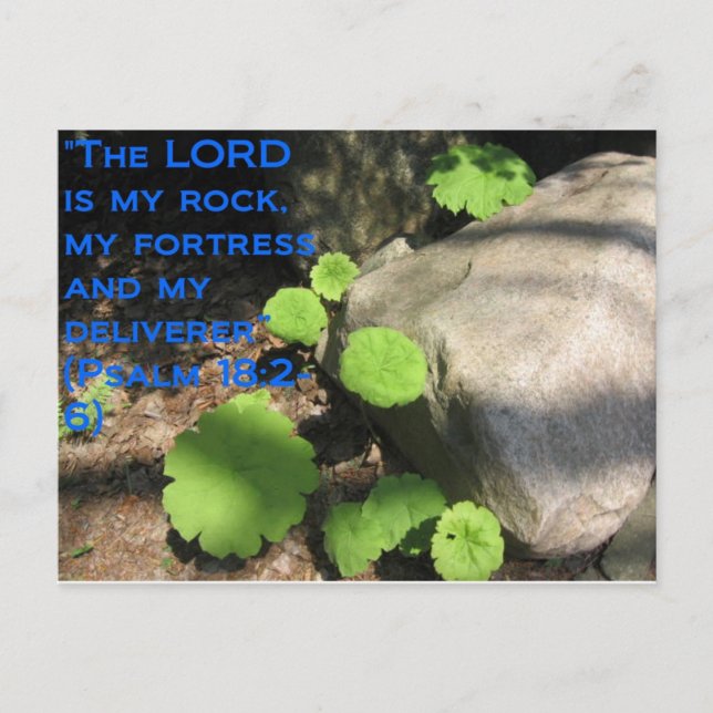 Was unter den Felsen liegt Postkarte (Vorderseite)