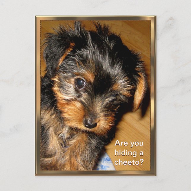 Was versteckst du? Anpassbare Postkarte (Vorderseite)