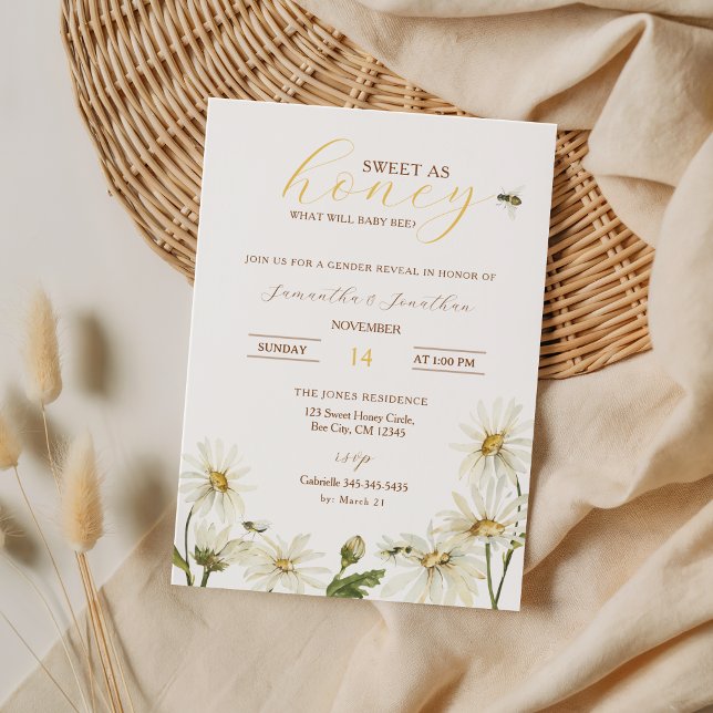 Was wird Babys Geschlecht Enthüllungseinladung Einladung (What Will Baby Be Gender Reveal Invite)