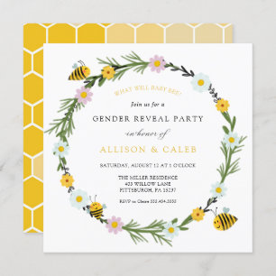 Was wird die Einladung zur Geschlechteroffenbarung