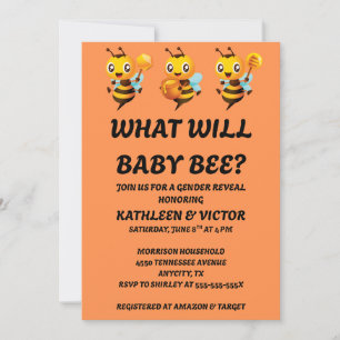 Was wird die Geschlechtsoffenbarungsfeier für Baby